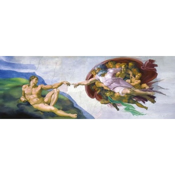 Art Puzzle - Puzzle Michelangelo: The Creation of Adam - 1 000 piese