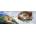 Art Puzzle - Puzzle Michelangelo: The Creation of Adam - 1 000 piese