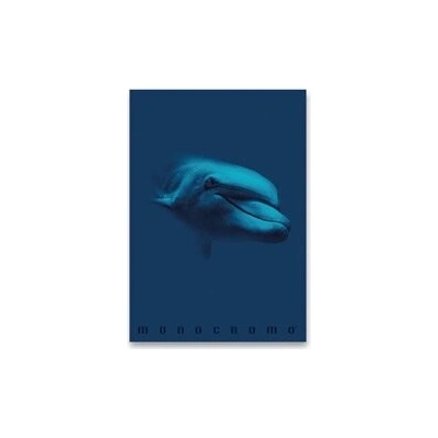 Pigna Monocromo Blue školní sešit A4 linkovaný
