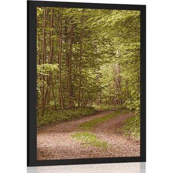 Plagát zelený les