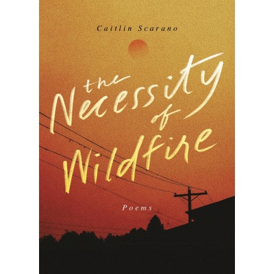 The Necessity of Wildfire: Poems