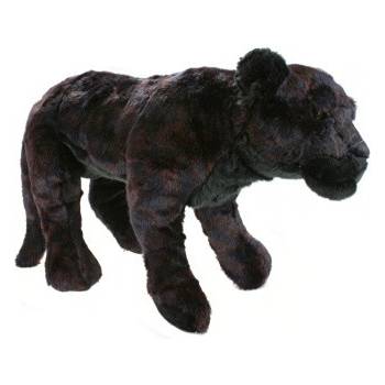 Panter