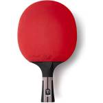 Butterfly Timo boll specialist