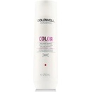 Goldwell Dualsenses Color šampón Farbené vlasy 250 ml