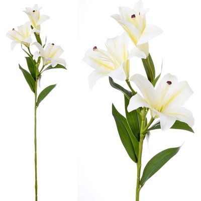 ĽALIA STARGAZER BIELA 3 KVETY 73CM