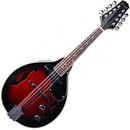Stagg M50 E