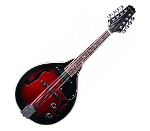 Stagg M50 E