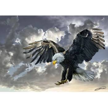 Image 1 of Art Puzzle - Puzzle Bald Eagle - 500 piese