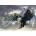 Art Puzzle - Puzzle Bald Eagle - 500 piese