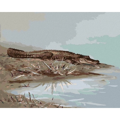 ZUTY Malování podle čísel ALIGÁTOR LEŽÍCÍ U VODY D. RUSTY RUST 40 x 50 cm Rámování vypnuté plátno na rám