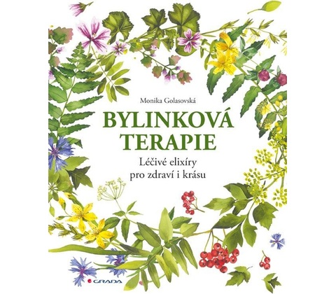 Bylinková terapie