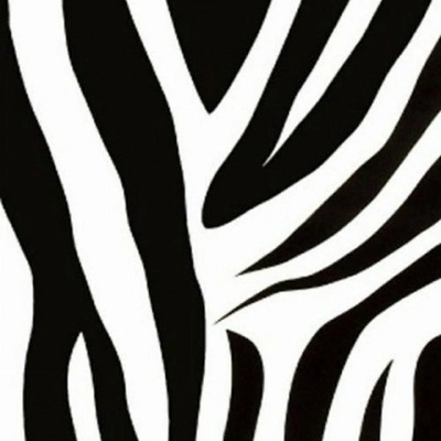 PATIFIX 15-6495 Samolepicí tapeta ZEBRA šíře 45 cm