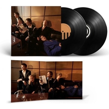 GIANT ROOKS - HOW HAVE YOU BEEN? LP