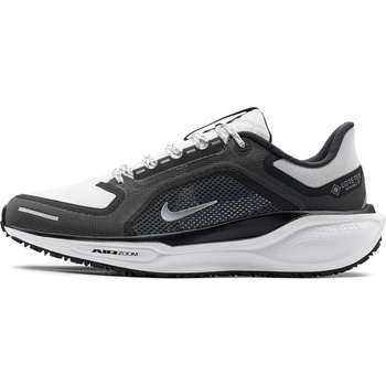 Nike Air Zoom Pegasus 41 Gore-Tex
