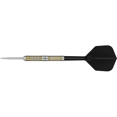 Target Japan Black Marque Reyn G2 SP 90% 23g steel