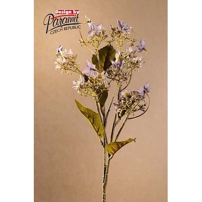 DIVOKÁ HORTENZIE MODRÁ 62 cm