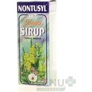 Doplnky stravy Fyto Nontusil Sirup bylinný sirup 100 ml