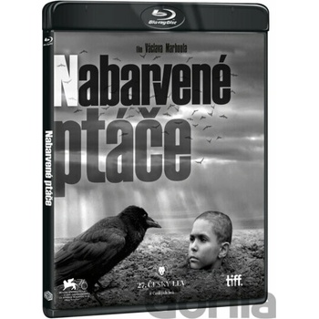 Nabarvené ptáče BD