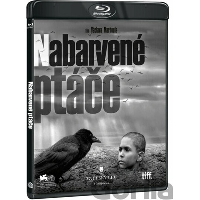 Nabarvené ptáče BD