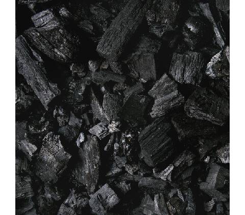 Parodont Charcoal Active 75 ml