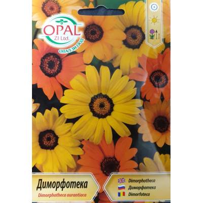 Opal Zi Диморфотека микс Dimorphotheca aurantiaca