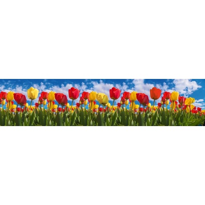 Dimex KI260-131 Fototapeta do kuchyně Tulips rozměry 260 x 60 cm