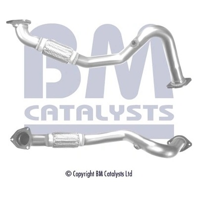 BM CATALYSTS BM50420