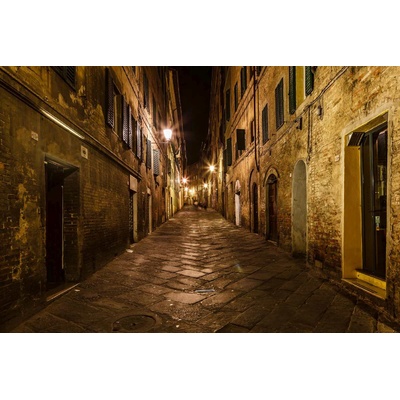 DIMEX ART Флизелинов фототапет средновековен град сиена 375 x 250 см