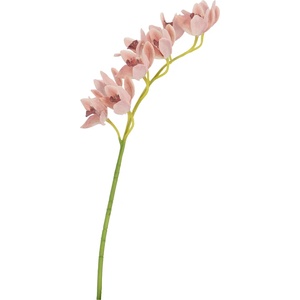 Bizzotto ИЗКУСТВЕНА КЛОНКА cymbidium dyan 82cm ОР (0170686)