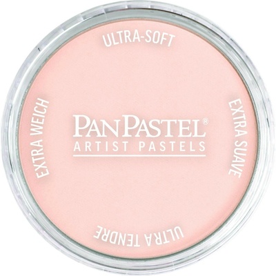 PanPastel suchý pastel 380.8 red iron oxide tint – Zboží Mobilmania