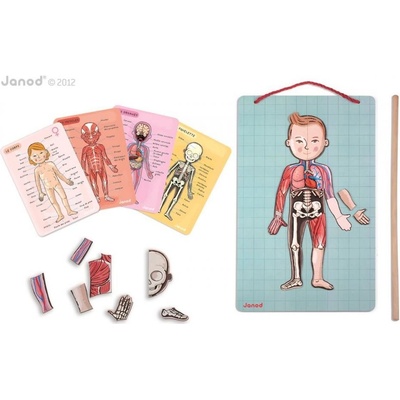 Janod ĽUDSKÉ TELO BODYMAGNET J