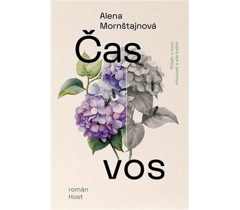 Čas vos