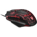 LioCat MX 557 C