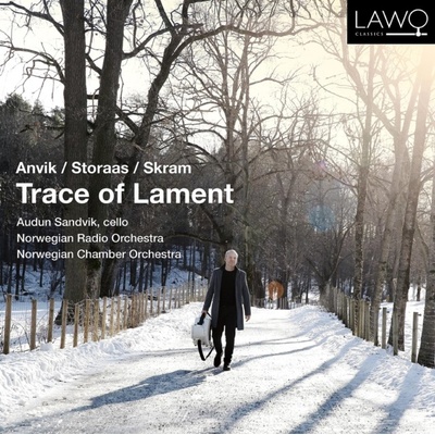 AUDUN SANDVIK NORWEGIAN RADIO ORCHESTRA NORWEGIAN CHAMBER - Trace Of Lament CD