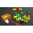 LEGO® City - Farm Garden & Scarecrow (30590)