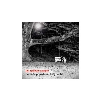 Jan Spálený & ASPM - Nemůžu popadnout tvůj dech