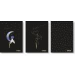 STREET Тетрадка Street, А4, широки редове, 54л, Black&Gold (30026-А-BALCK/GOLD)