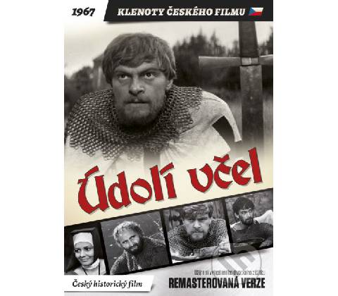 Údolí včel DVD