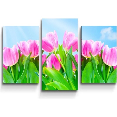 Sablio Obraz - 3-dílný Ružové tulipány - 75x50 cm