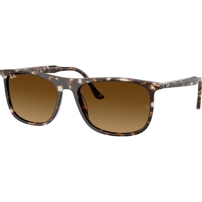 Ray-Ban RB2216 143185