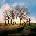 OST - Big Fish CD