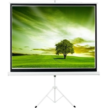 Aveli 175x131cm 4:3 XRT-00111