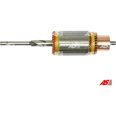 AS-PL Kotva, startér Brand new AS-PL Starter brush h SA1007