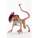 Neca Kenner Tribute Panther Alien