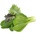 Click & Grow Семена Click and Grow Микс азиатски подправки, 9 броя (PPMAGX9)
