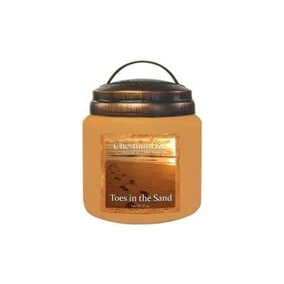 Chestnut Hill Candle Company Toes In The Sand 454 g