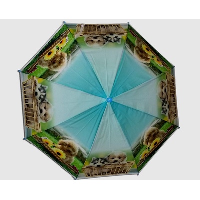 Chanos Pes štěňata v košíku