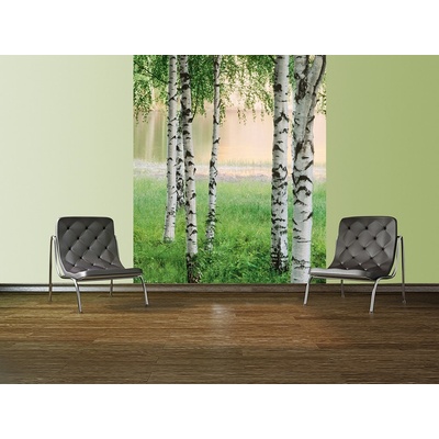 W+G 381 Papírová 4 dílná fototapeta Nordic Forest, rozměry 183 x 254 cm