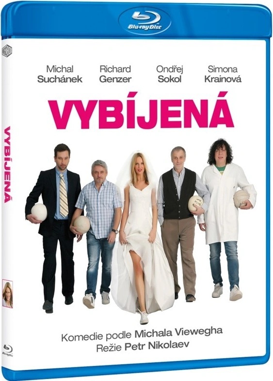 Vybíjená BD