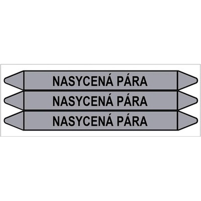 Značení potrubí, nasycená pára,3 ks, 355 × 37 mm PZ 009538